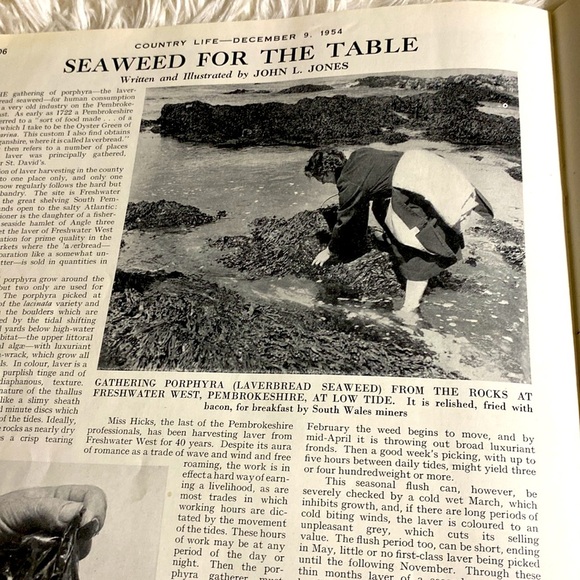 VINTAGE COUNTRY LIFE MAGAZINE Christmas Ads December 9, 1954 EUC - Picture 14 of 16